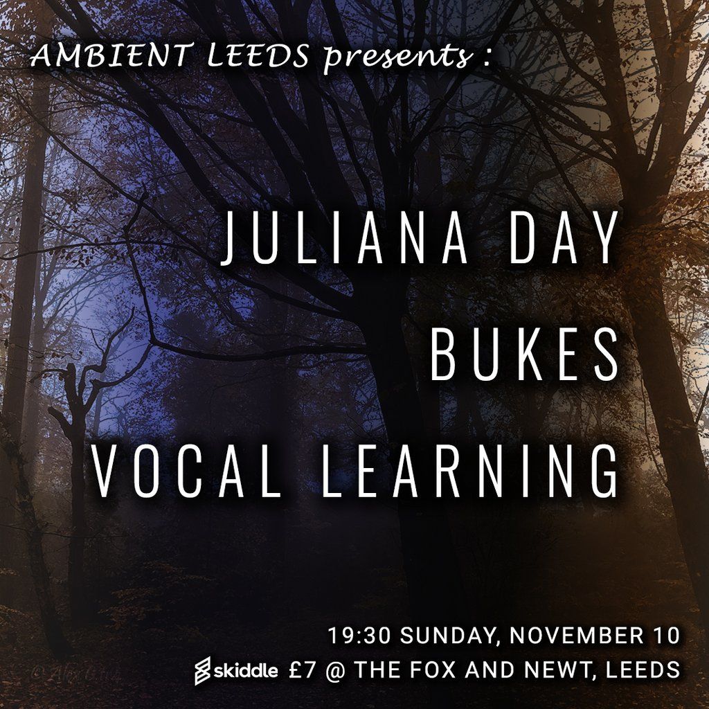 Ambient Leeds: Juliana Day \/\/ Bukes \/\/ Vocal Learning