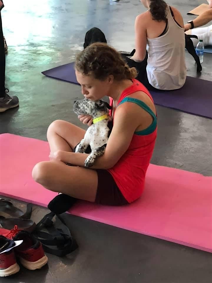 Doggy Noses & Yoga Poses at Sana Yoga