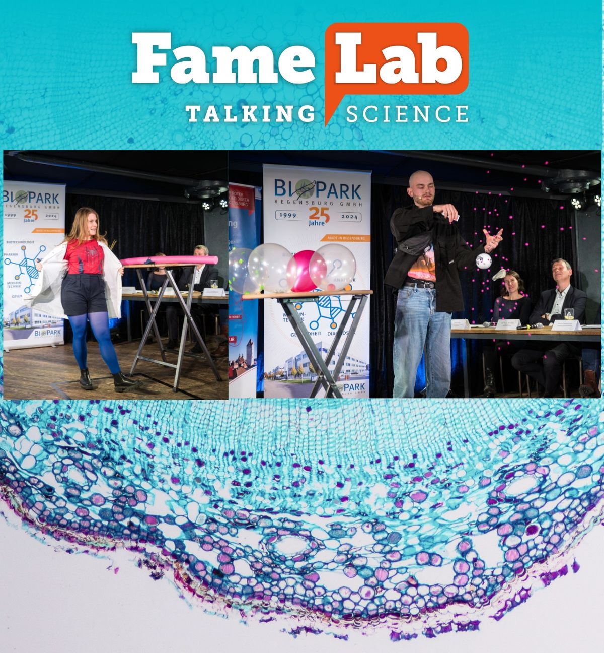 FameLab Regensburg 2025 