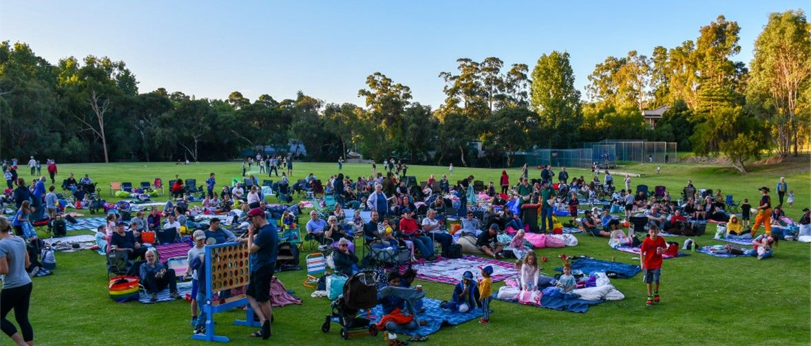 Movie in the Park