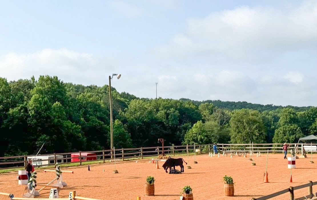 WHR Working Equitation Ease of Handling Playday 