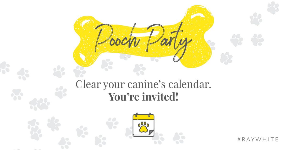 Salisbury Pooch Party