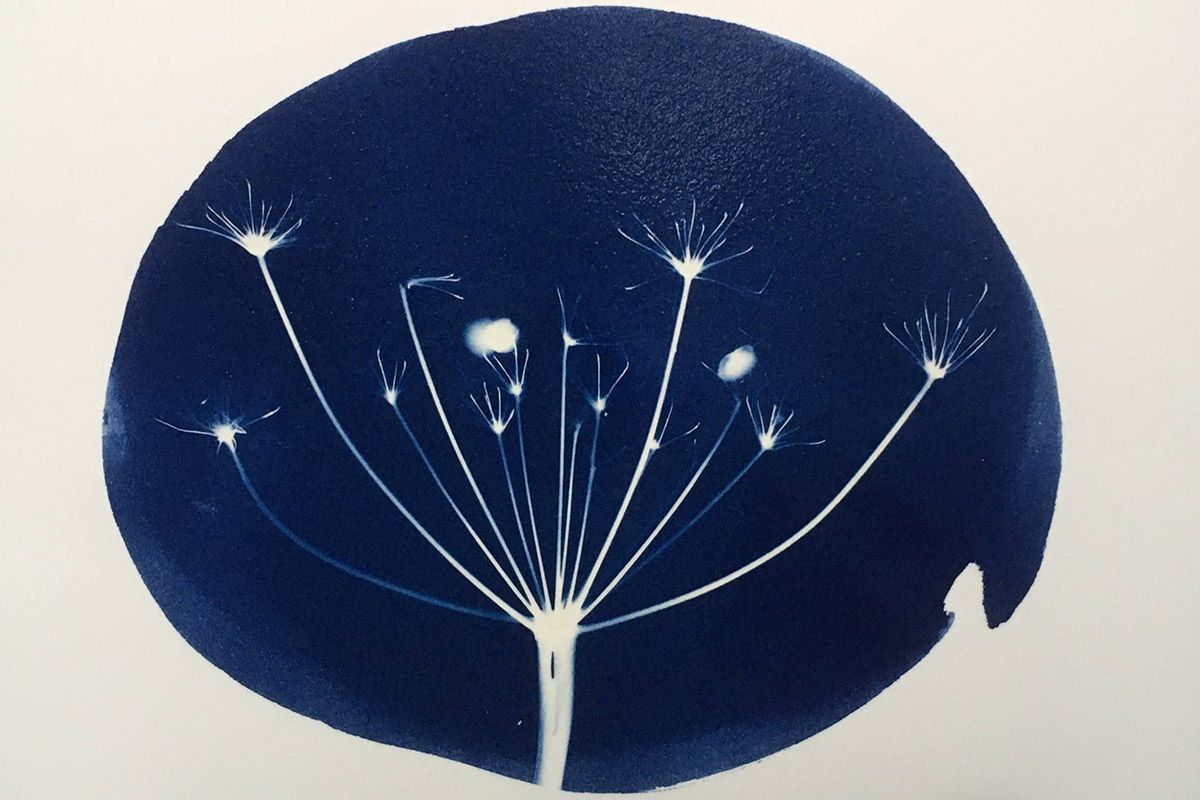 Cyanotype Printing