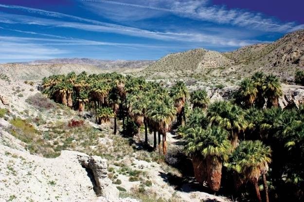 Pushawalla Palm Oasis Loop Trail