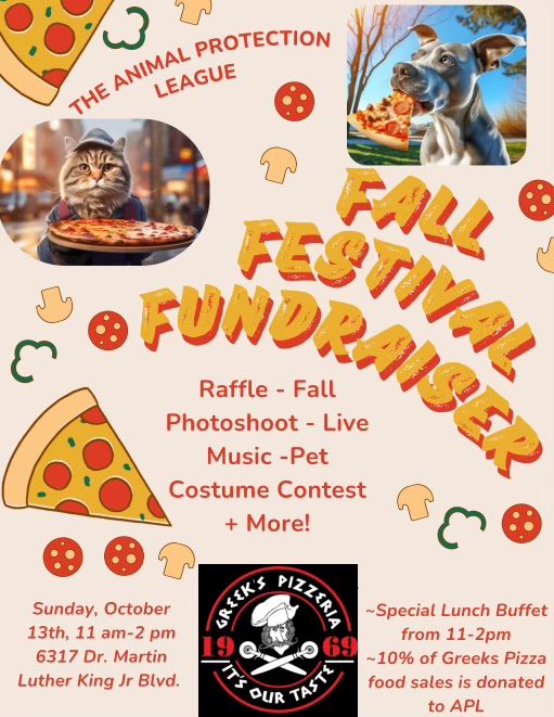 Fall Festival Fundraiser