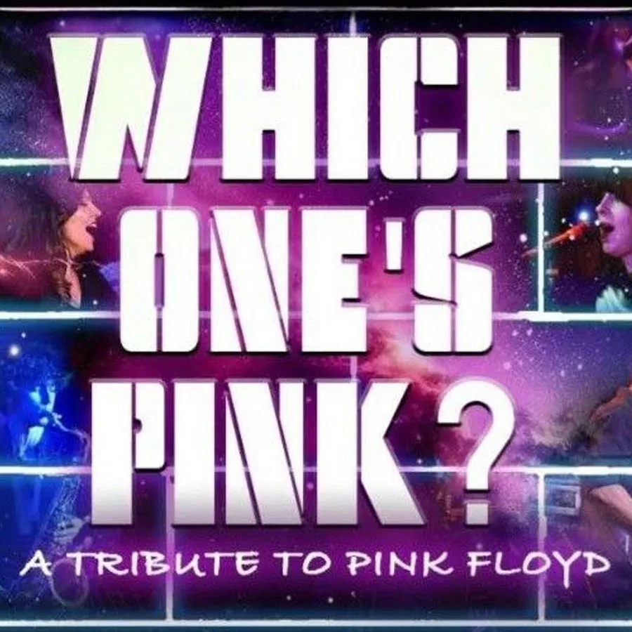 Which One's Pink - A Tribute to Pink Floyd