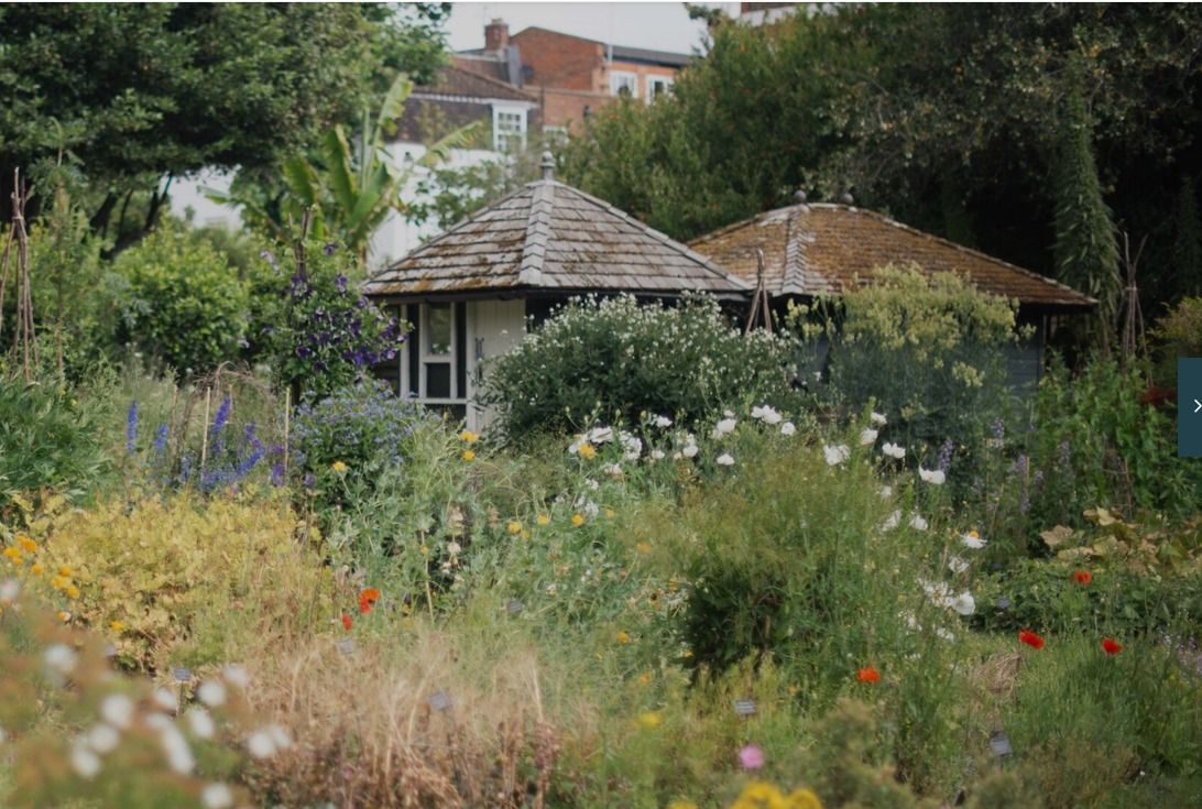 Chelsea Physic Garden: BSL Tour