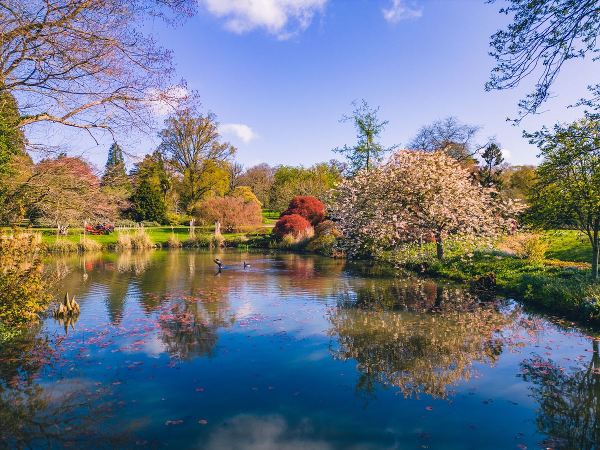 Spring at Wakehurst \ud83c\udf3c\ud83c\udf38\ud83d\udc9b