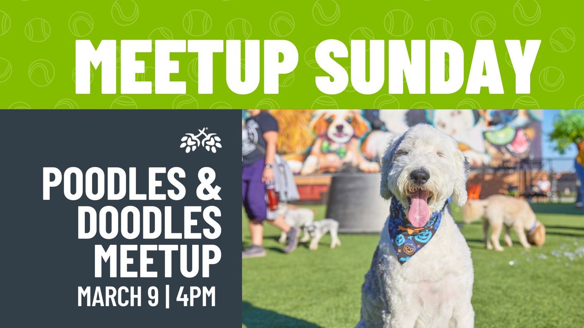 Poodles & Doodles Meetup 