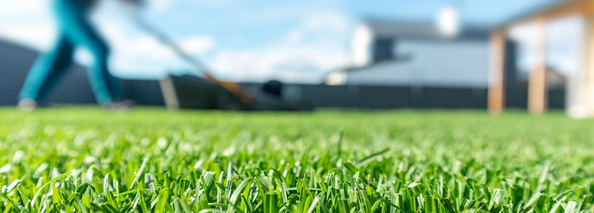 Basics of Turfgrass Management (Training Class)