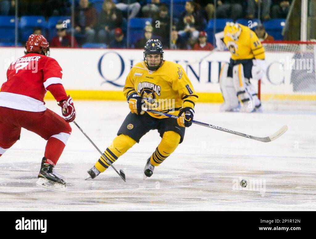 Cornell Big Red at Quinnipiac Bobcats Mens Hockey