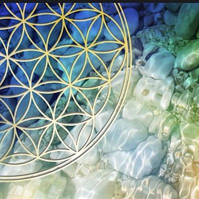 Annette Hennekens-Sklenar