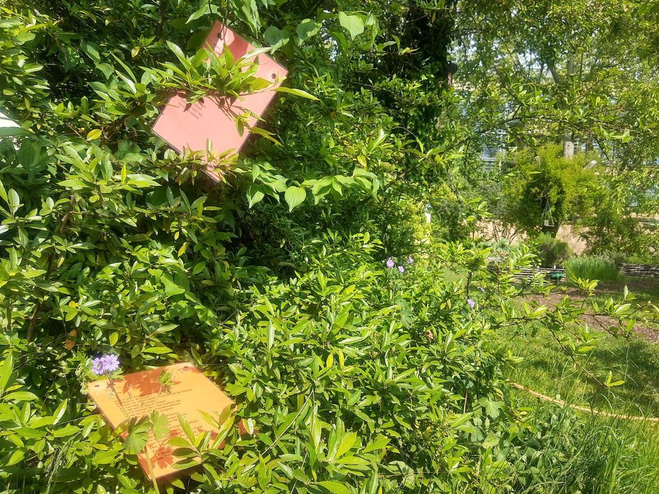 Schreibwerkstatt Der Geheimnisvolle Garten Botanischer Garten Der 