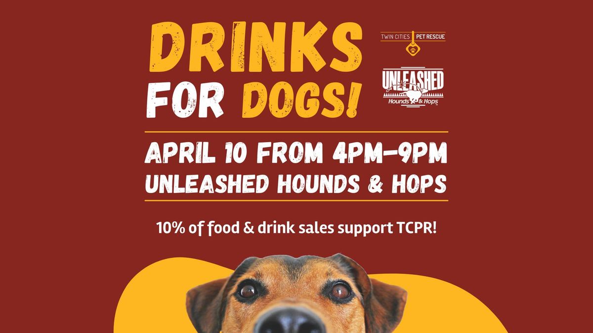 Drinks for Dogs at Unleashed Hounds and Hops!