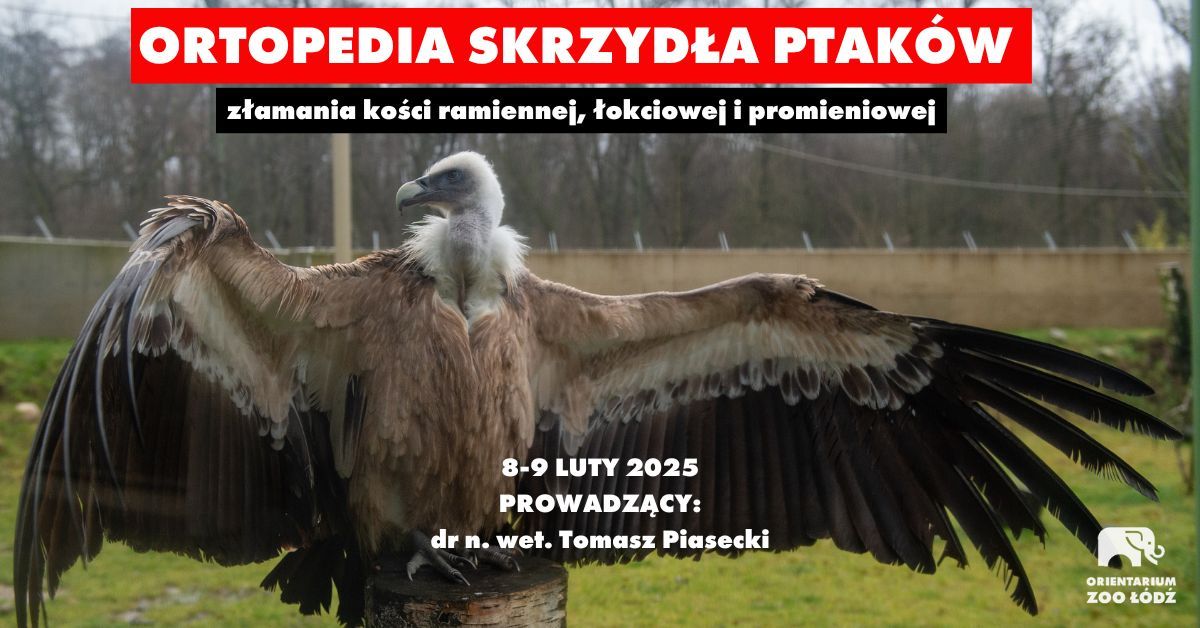 ORTOPEDIA SKRZYD\u0141A PTAK\u00d3W - z\u0142amania ko\u015bci ramiennej, \u0142okciowej i promieniowej