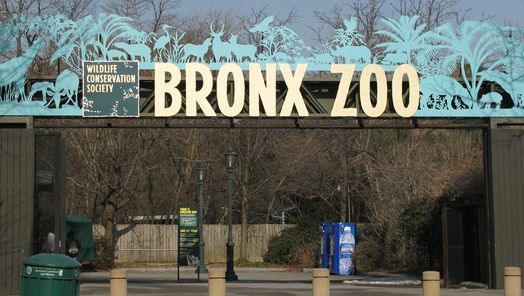 Free Days At The Bronx Zoo Bronx Zoo 24 February 2022 Bronx Zoo Free Day Wednesday 2022