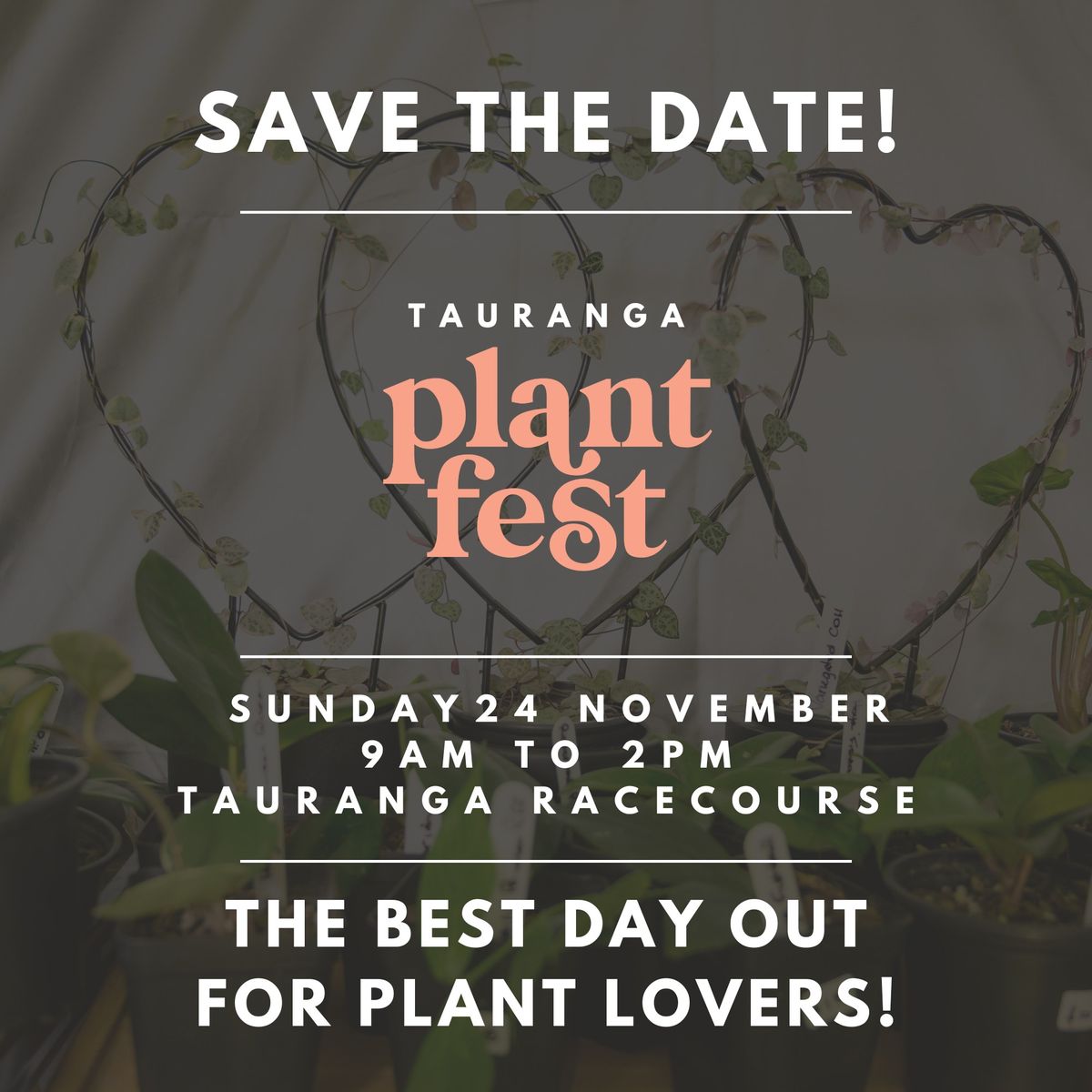 Plant Fest 2024