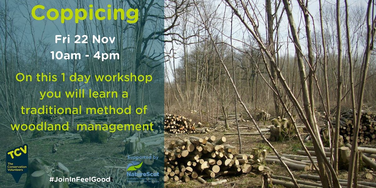 Coppicing