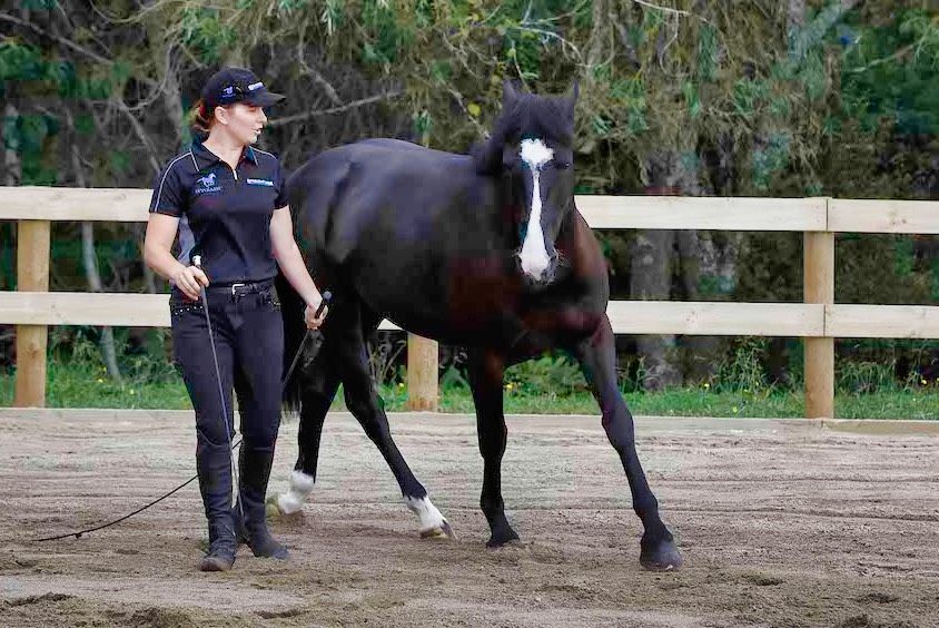 Foundation Day Course to Liberty with Idyllwild Horsemanship