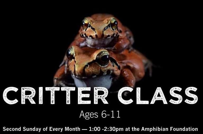 Critter Class - Ages 6-11 