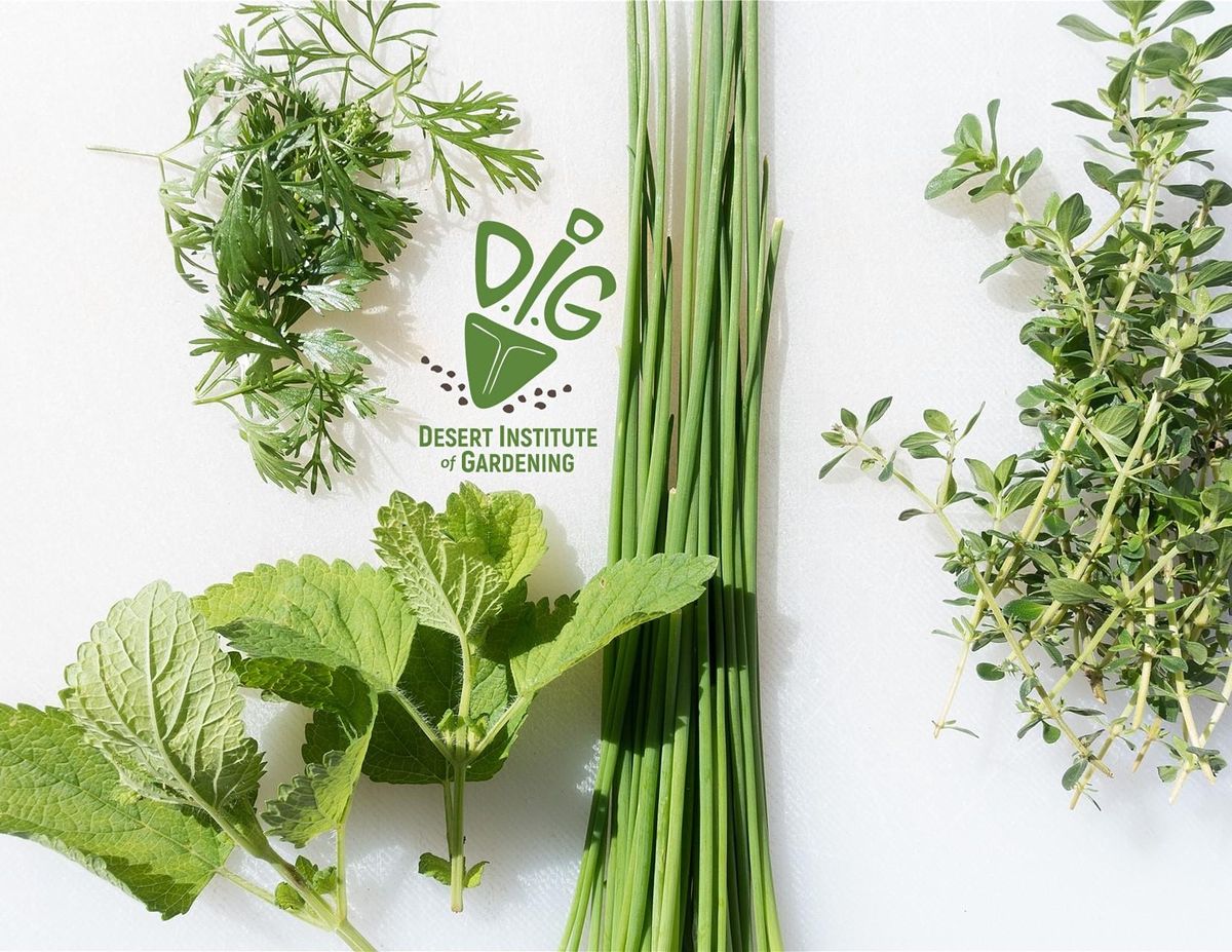 DIG ONLINE: Growing Herbs - A Perfect Hobby