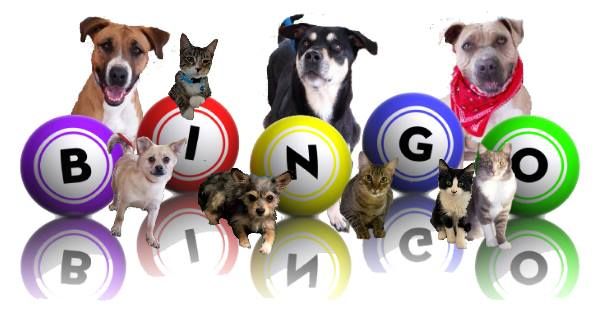 HappiDog Bingo Bash , January 19, 2025