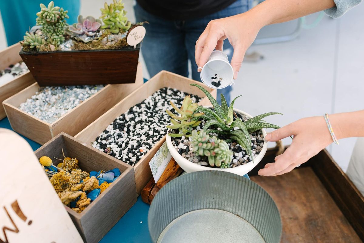 Valentine's Succulent Workshop 