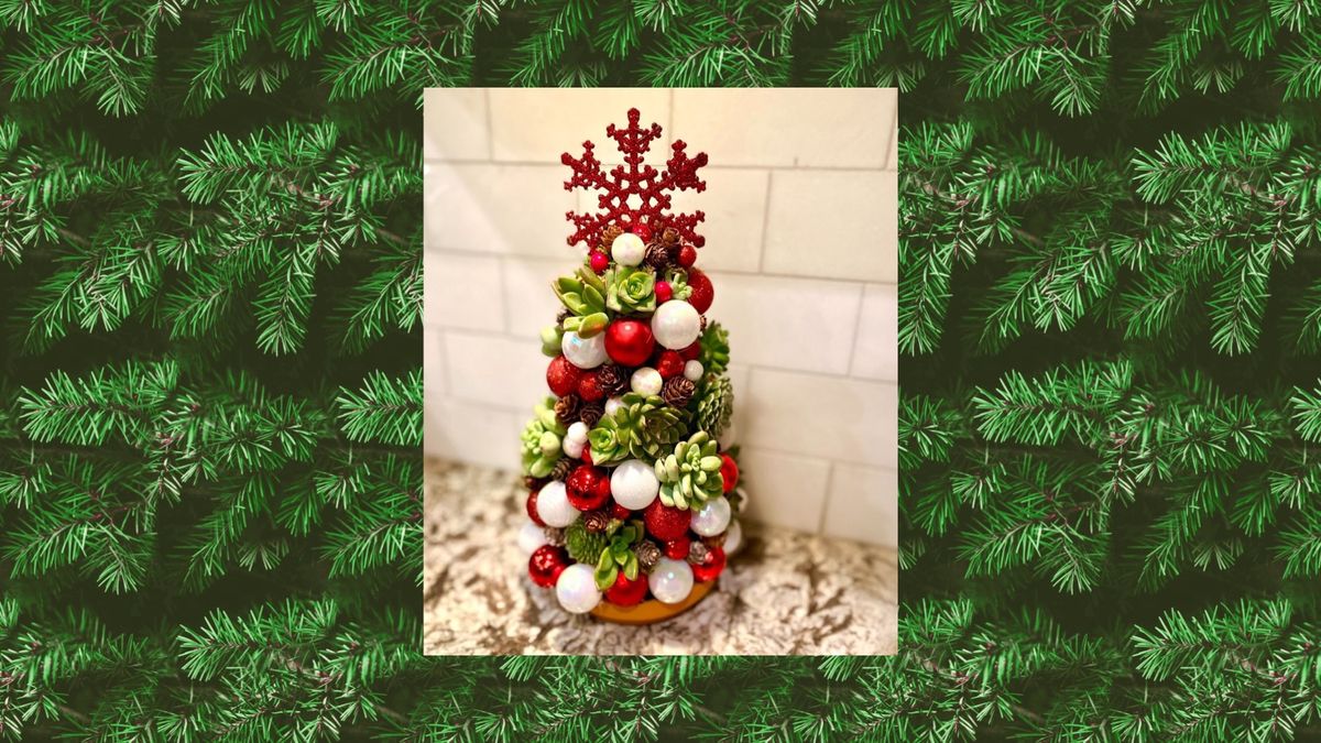 Succulent Christmas Tree Workshop