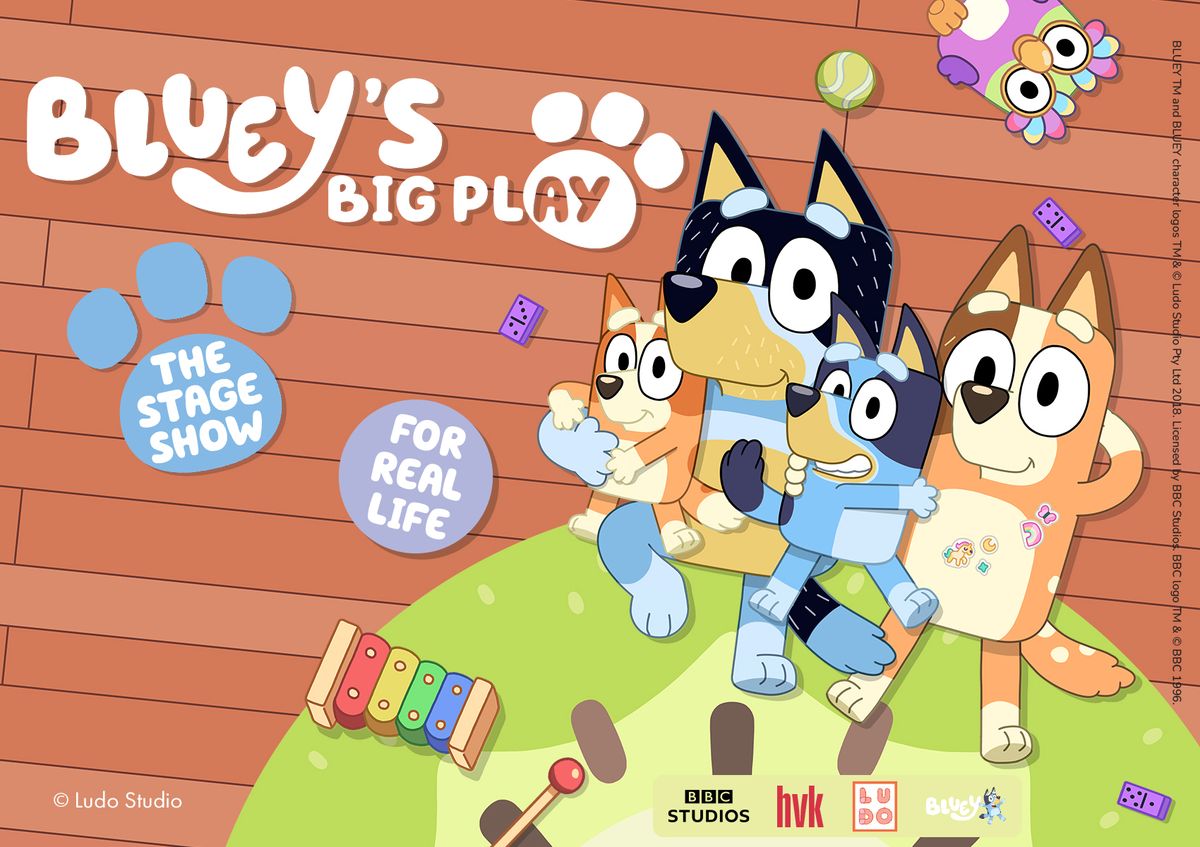 Bluey's Big Play