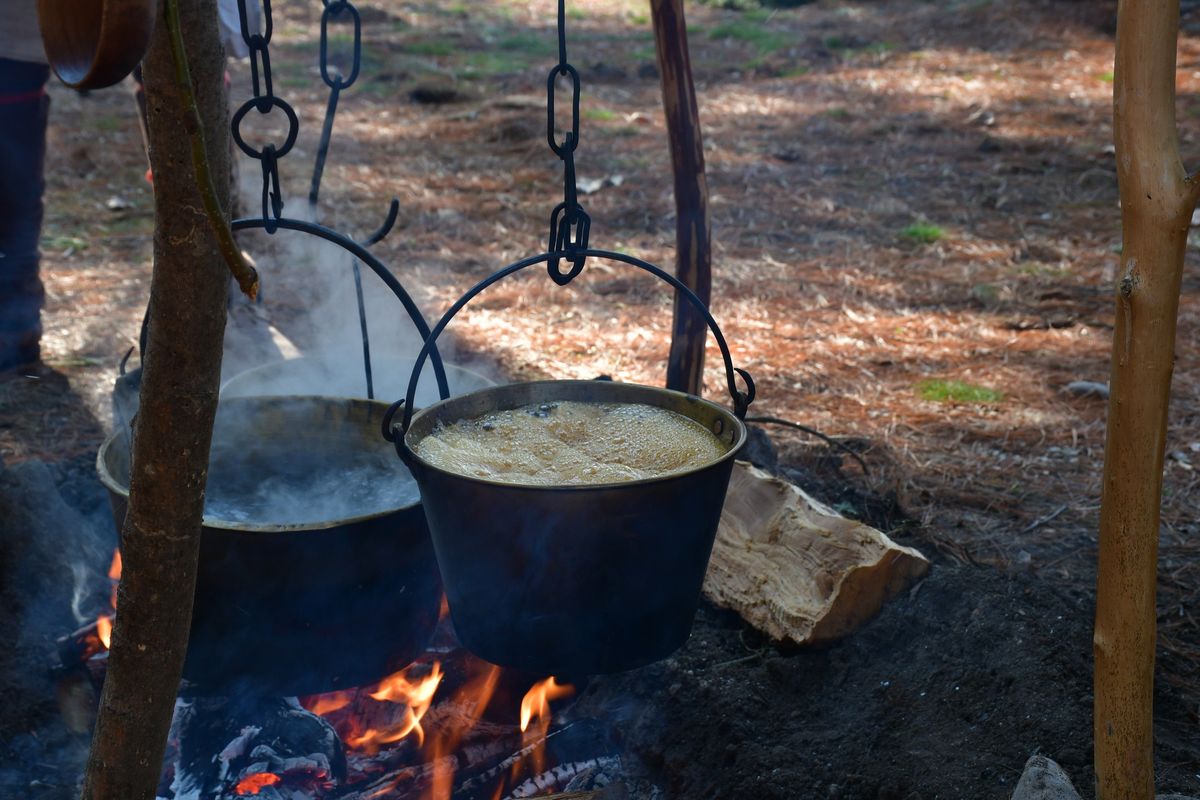 Maple Sugaring at Post Ouiatenon