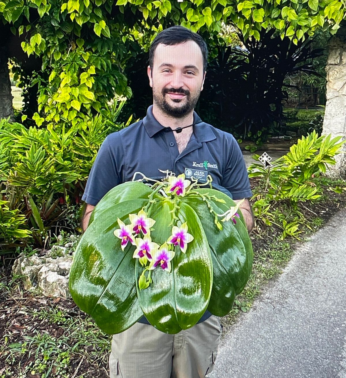 Nov Meeting, Bulbophyllums presented by Julien Baruch