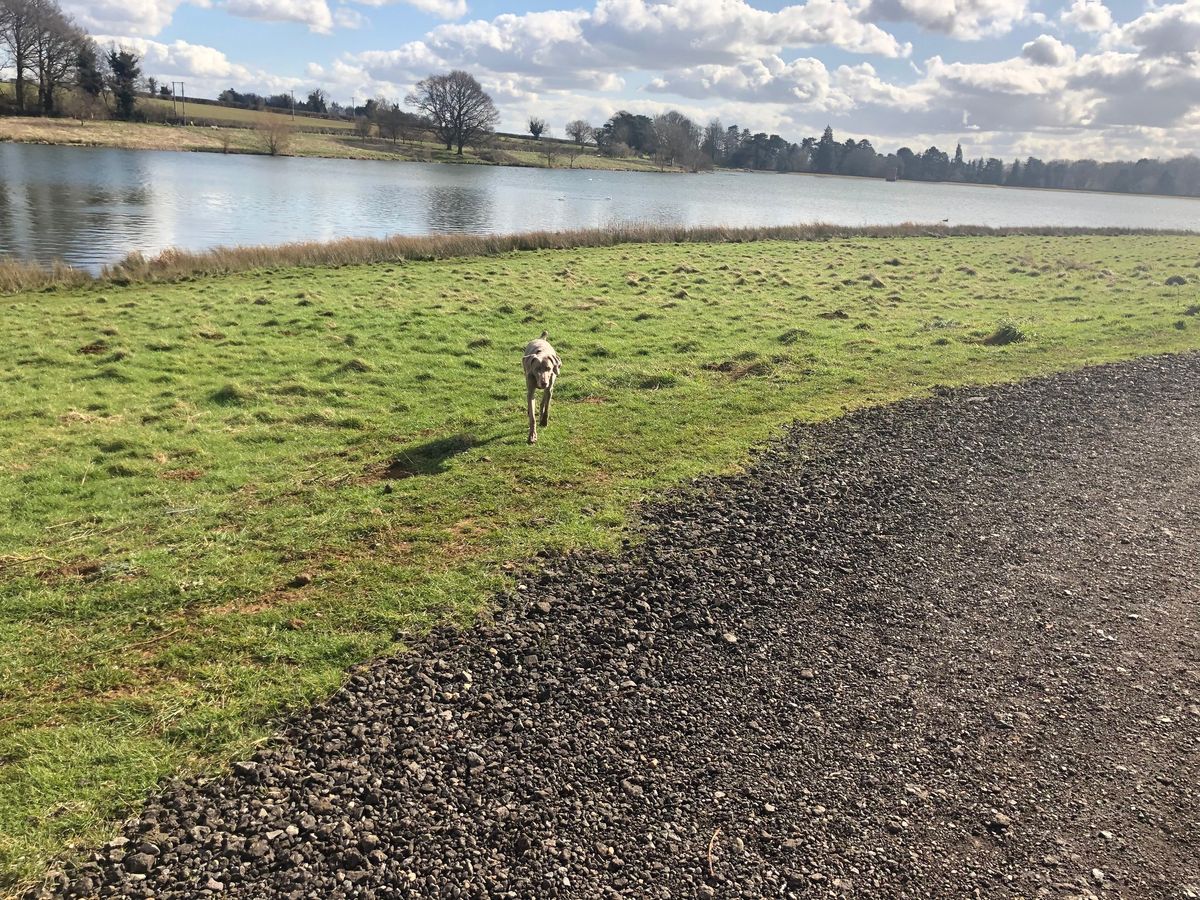 October Pack walk - Sywell Country Park