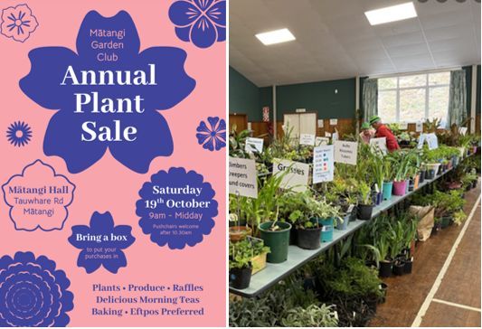 Matangi Garden Club Annual Plant Sale - Free entry