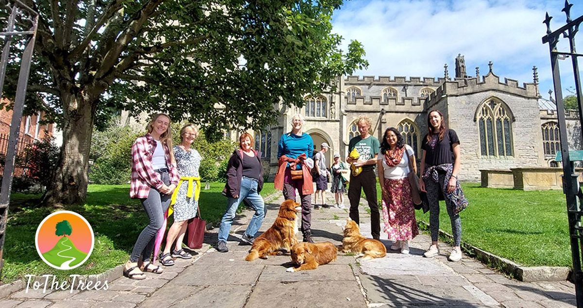 Autumn Tree Walks - October