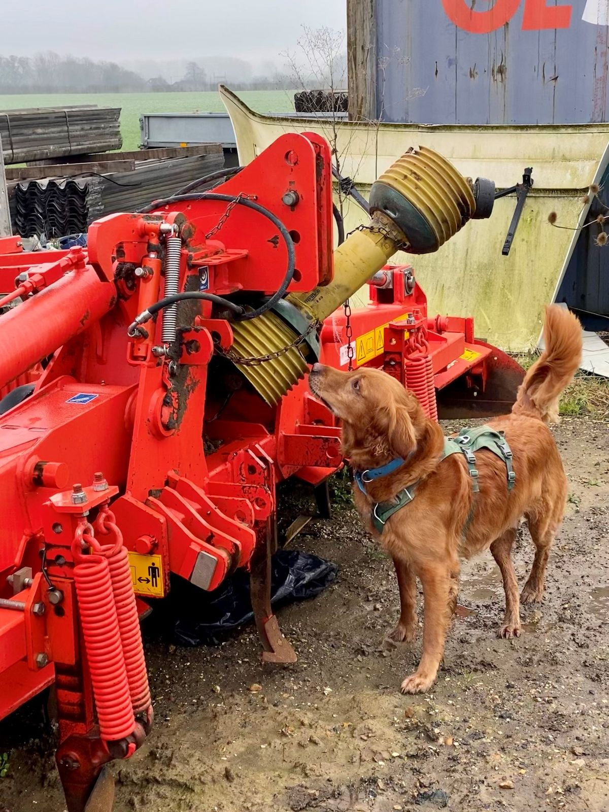 Outdoor Farm Trials ALL LEVELS (No Club)