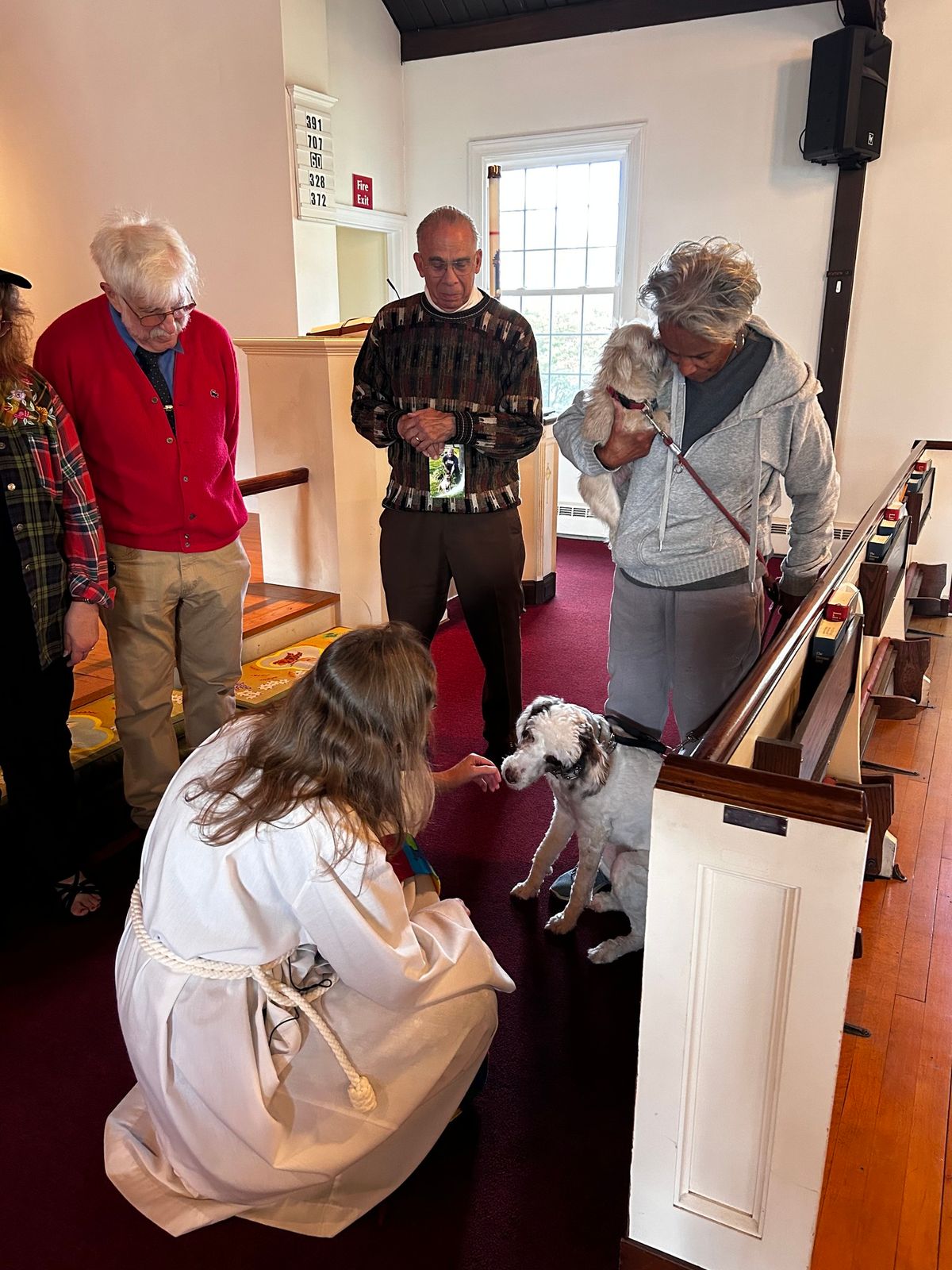 Blessing of the Animals