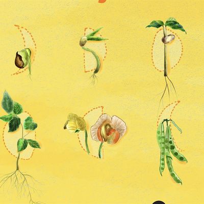 May the Soil Be Everywhere