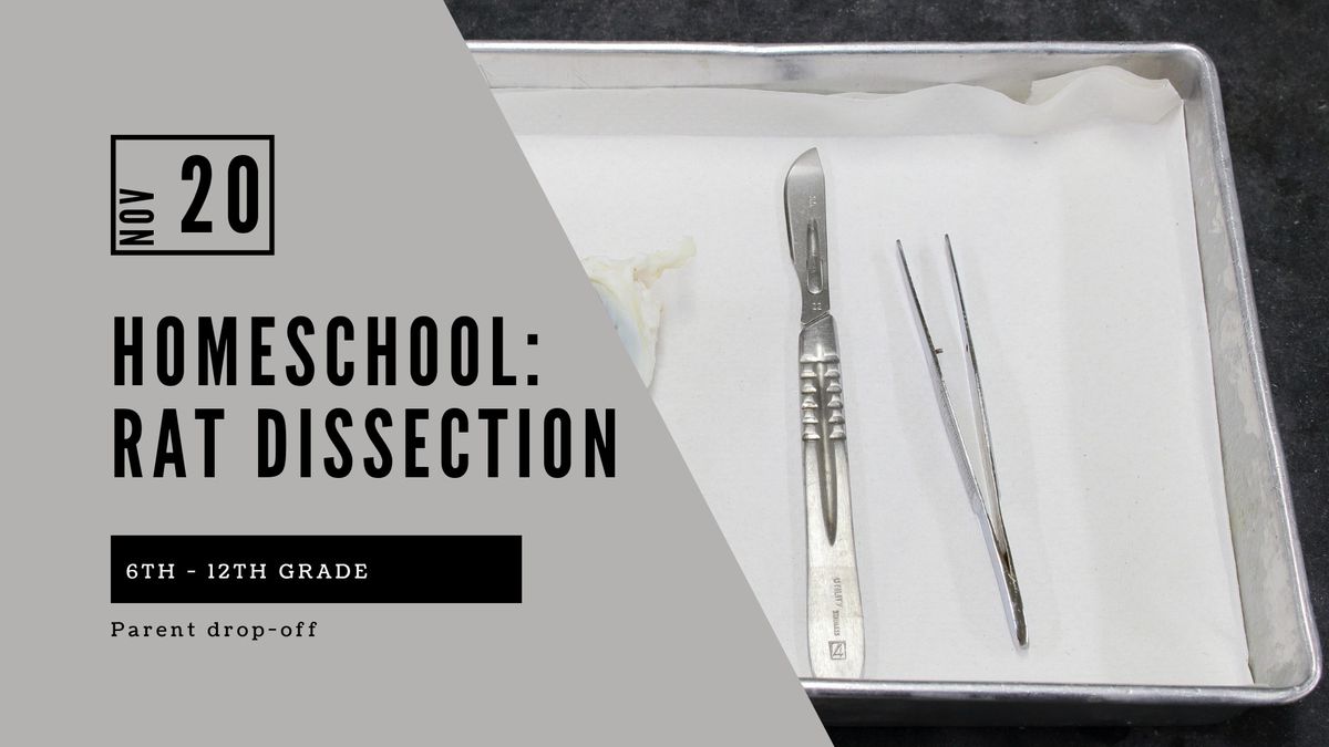 Homeschool 6th-12th Grade: Rat Dissection