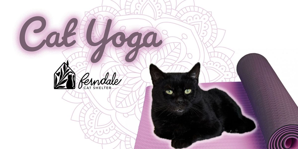 Cat Yoga