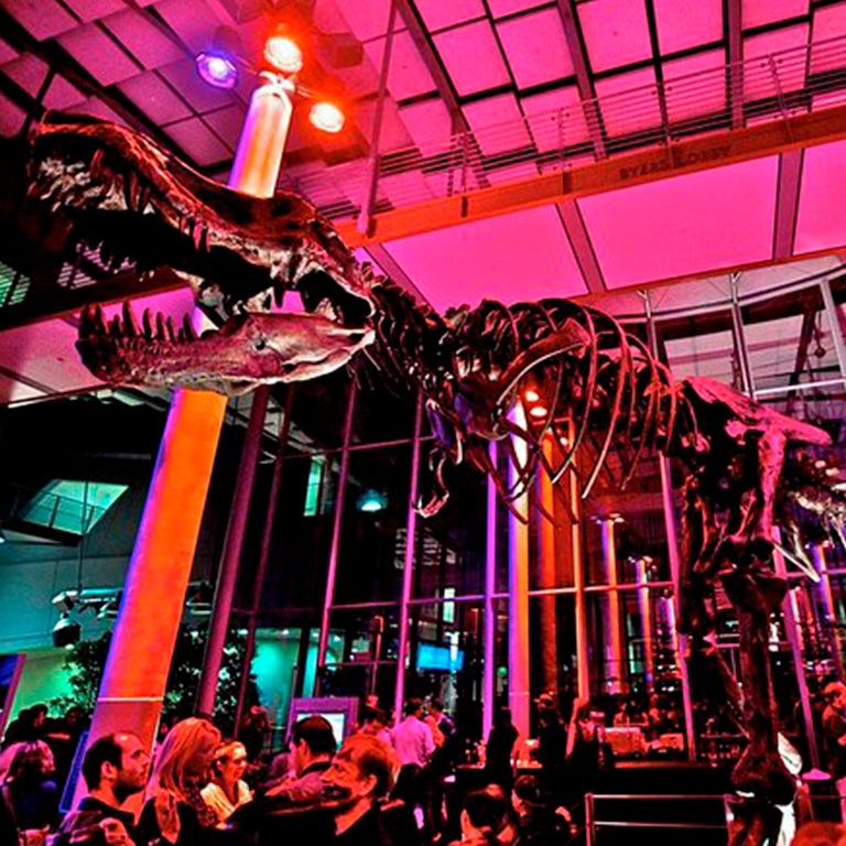 California Academy of Sciences NightLife Admission Ticket