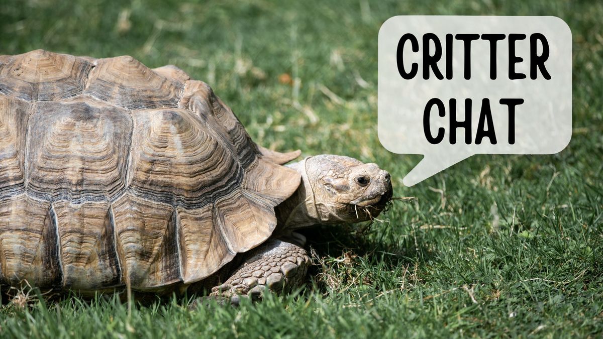 Critter Chat - May