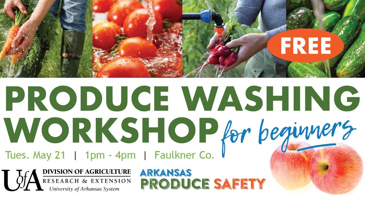 Produce Washing Workshop for Beginners