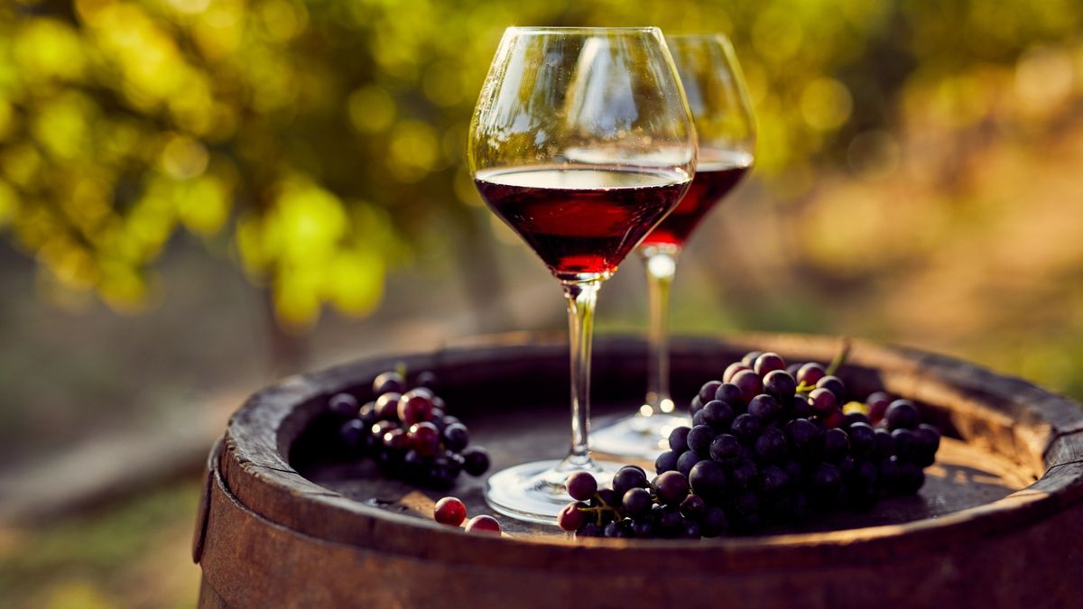 Wine Tasting: Zinfandel - America's Grape