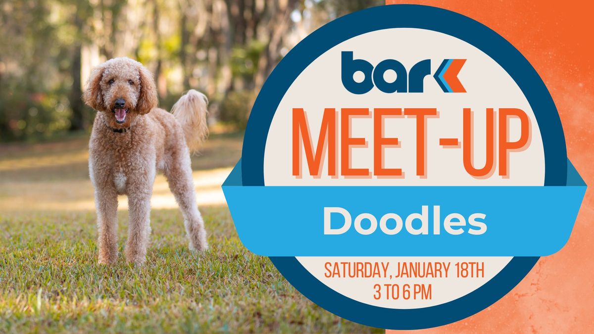 Breed Meet Up- Doodles