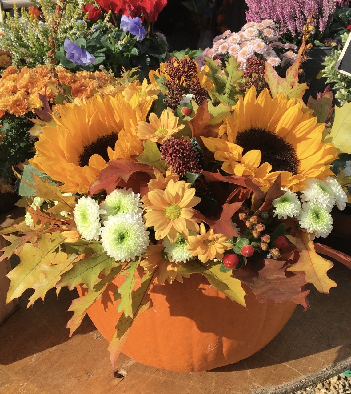 Posy in a Pumpkin Workshop