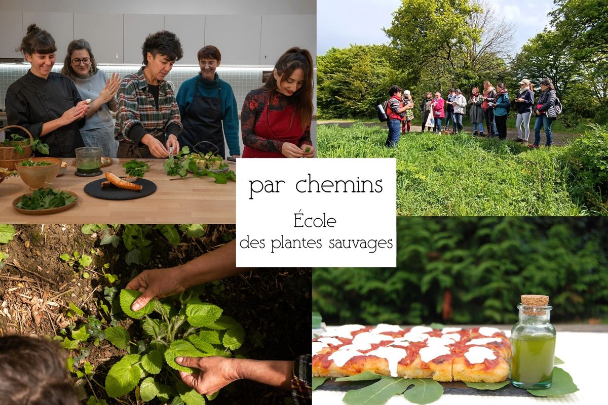 Journ\u00e9e immersive "Gastronomie des plantes sauvages"