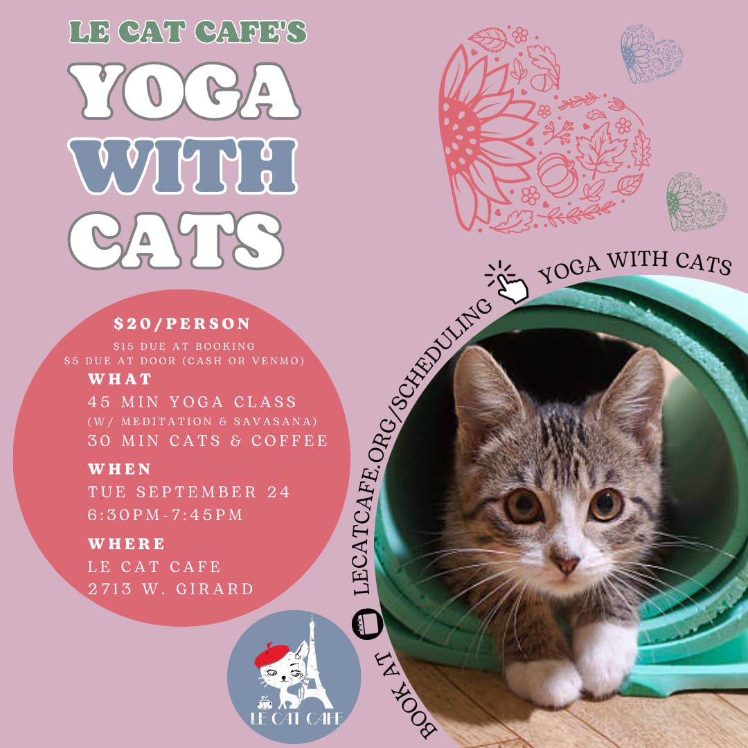 Yoga with Cats