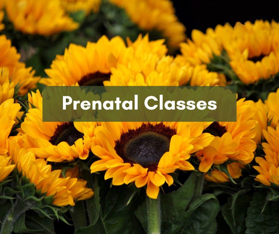 Prenatal Classes