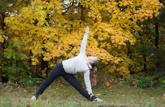 NYBEGYNNERKURS I IYENGAR YOGA\u2122 S\u00d8NDAG 9. MARS KL 14.00-16.00