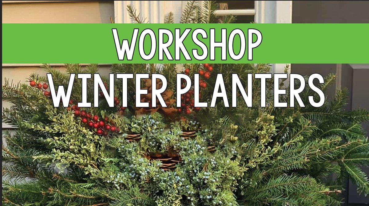 Workshop - Winter Planters